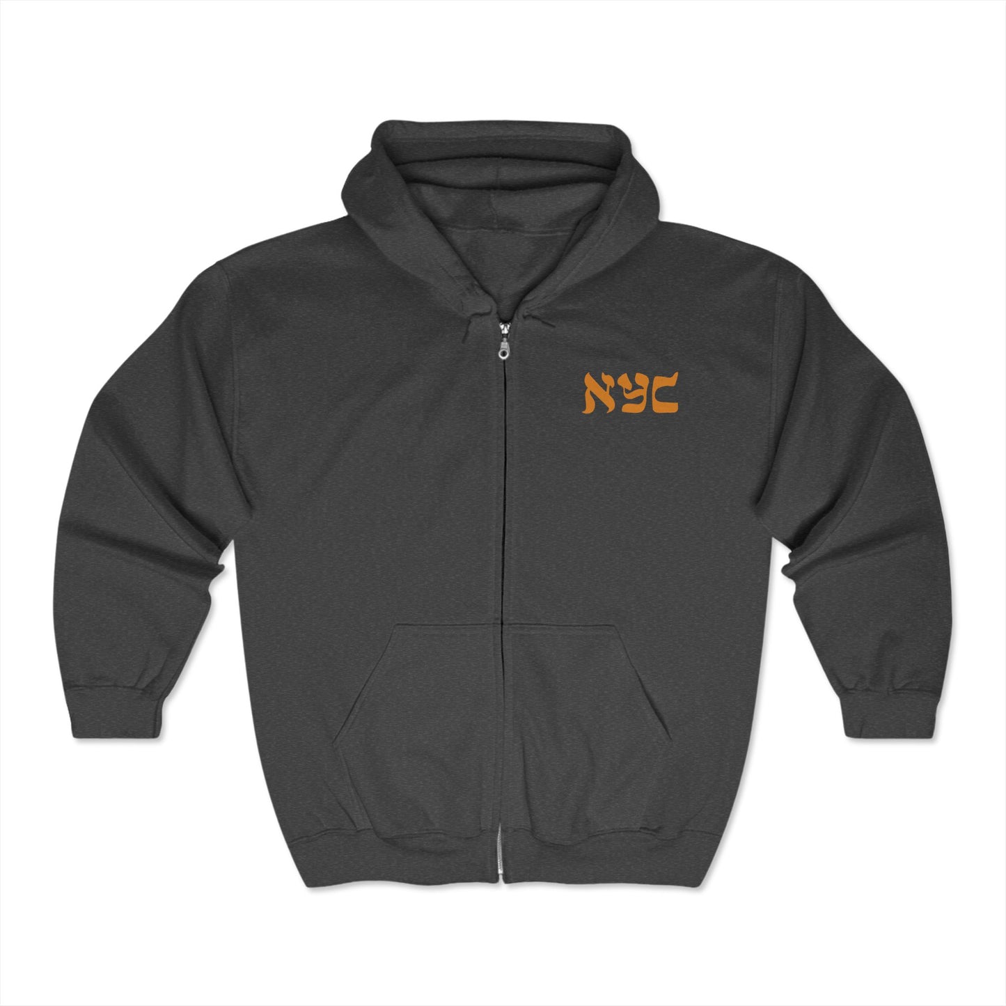 Classic logo full zip hoodie