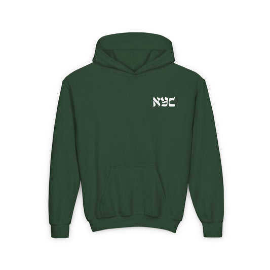 Youth Hoodie