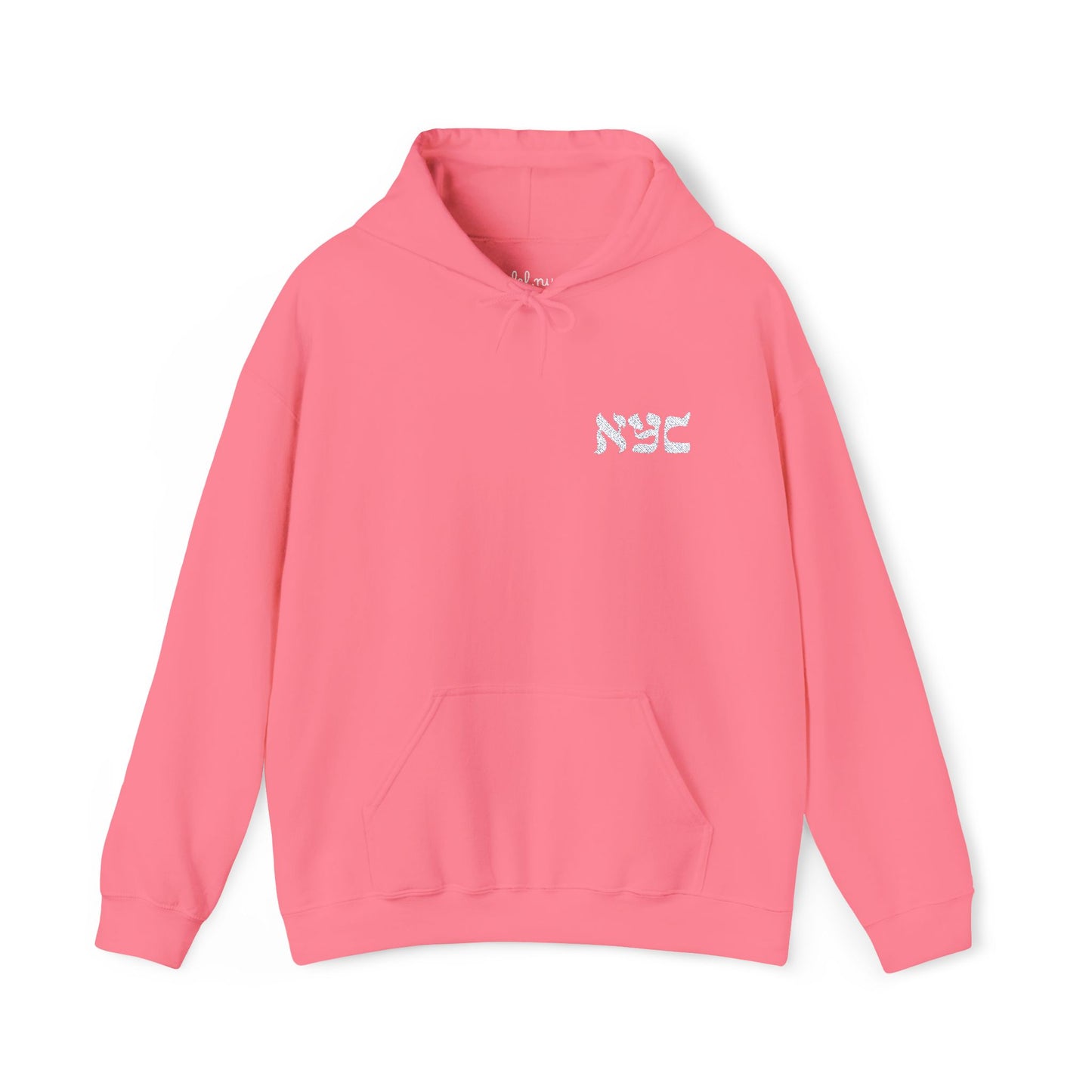 Embroided logo Hoodie