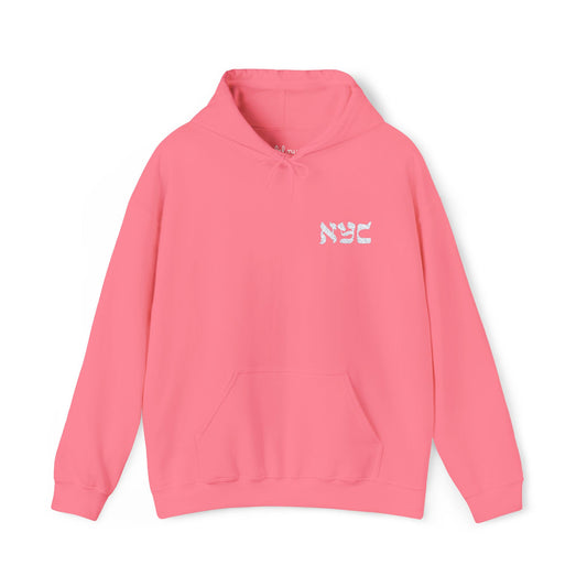 Embroided logo Hoodie