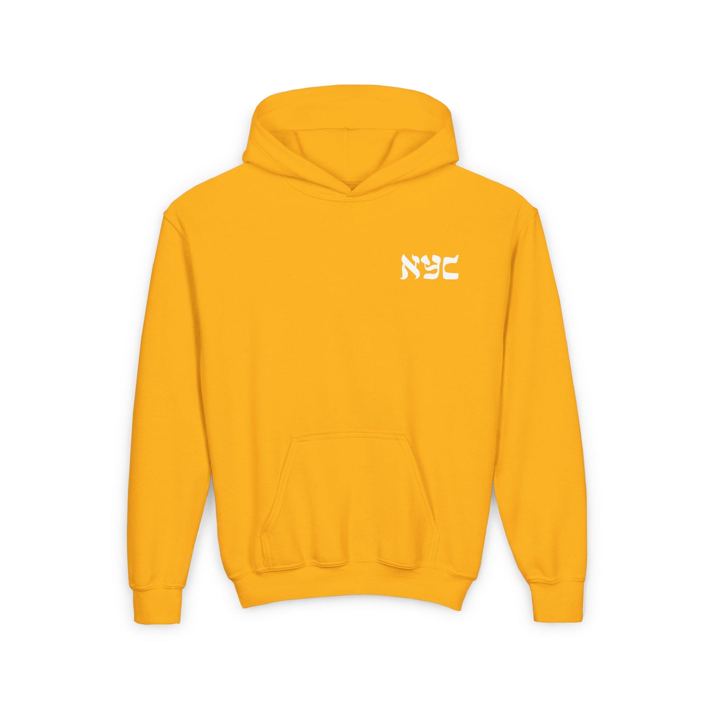 Youth Hoodie