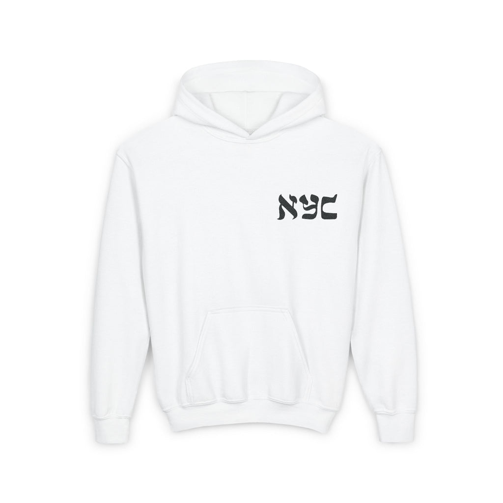 Embroidered logo hoodie - Youth