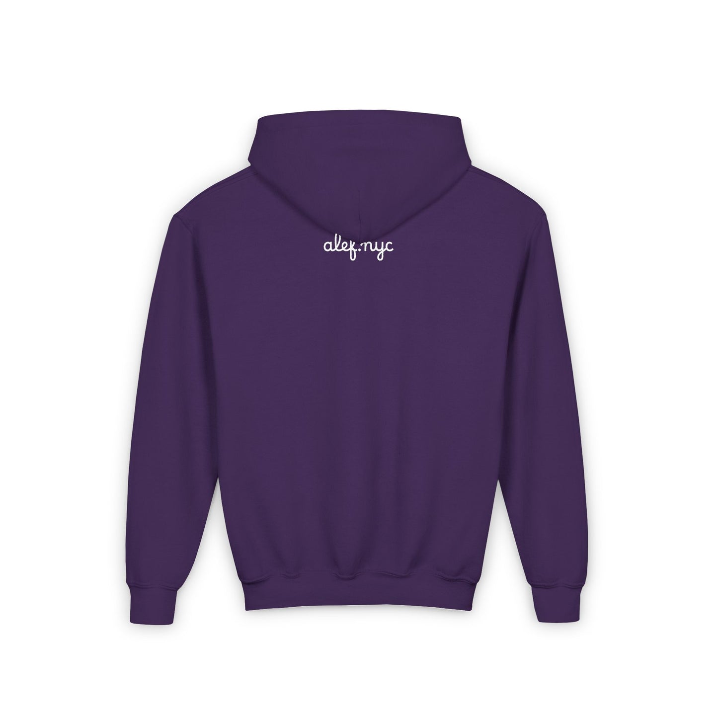 Youth Hoodie