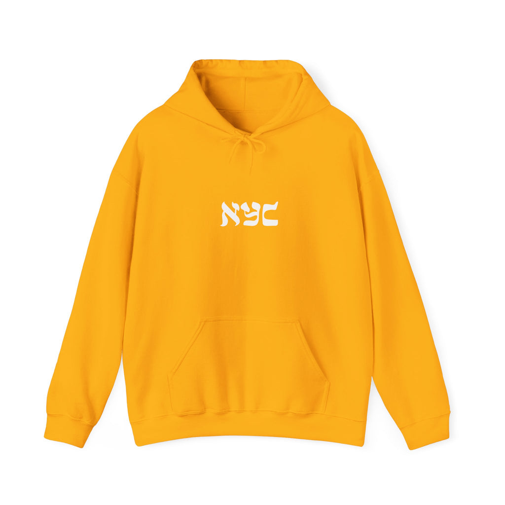 Center logo Hoodie