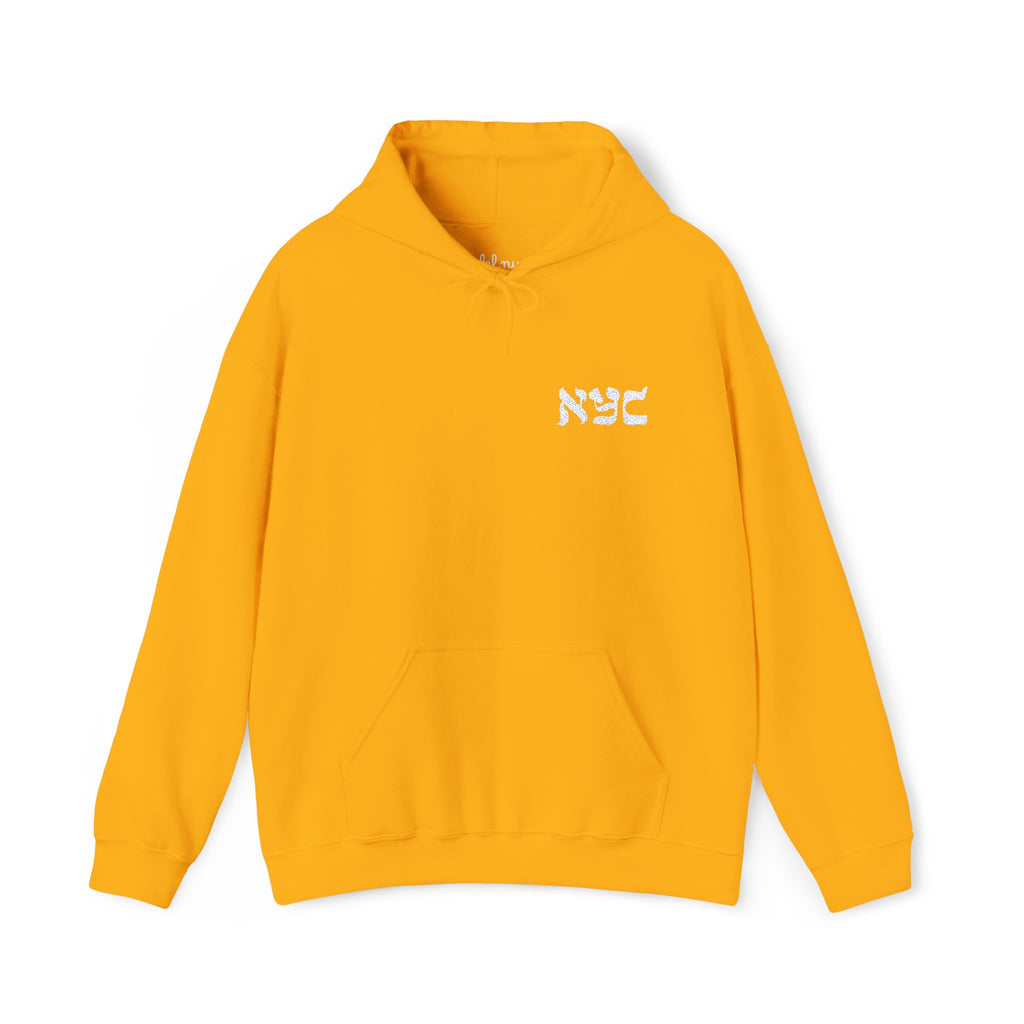 Embroided logo Hoodie
