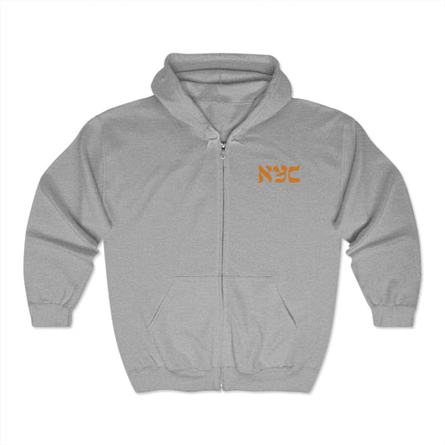 Classic logo full zip hoodie