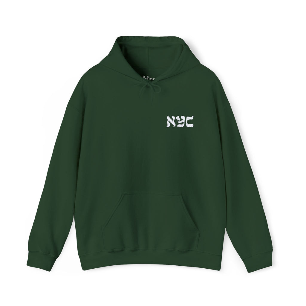 Embroided logo Hoodie