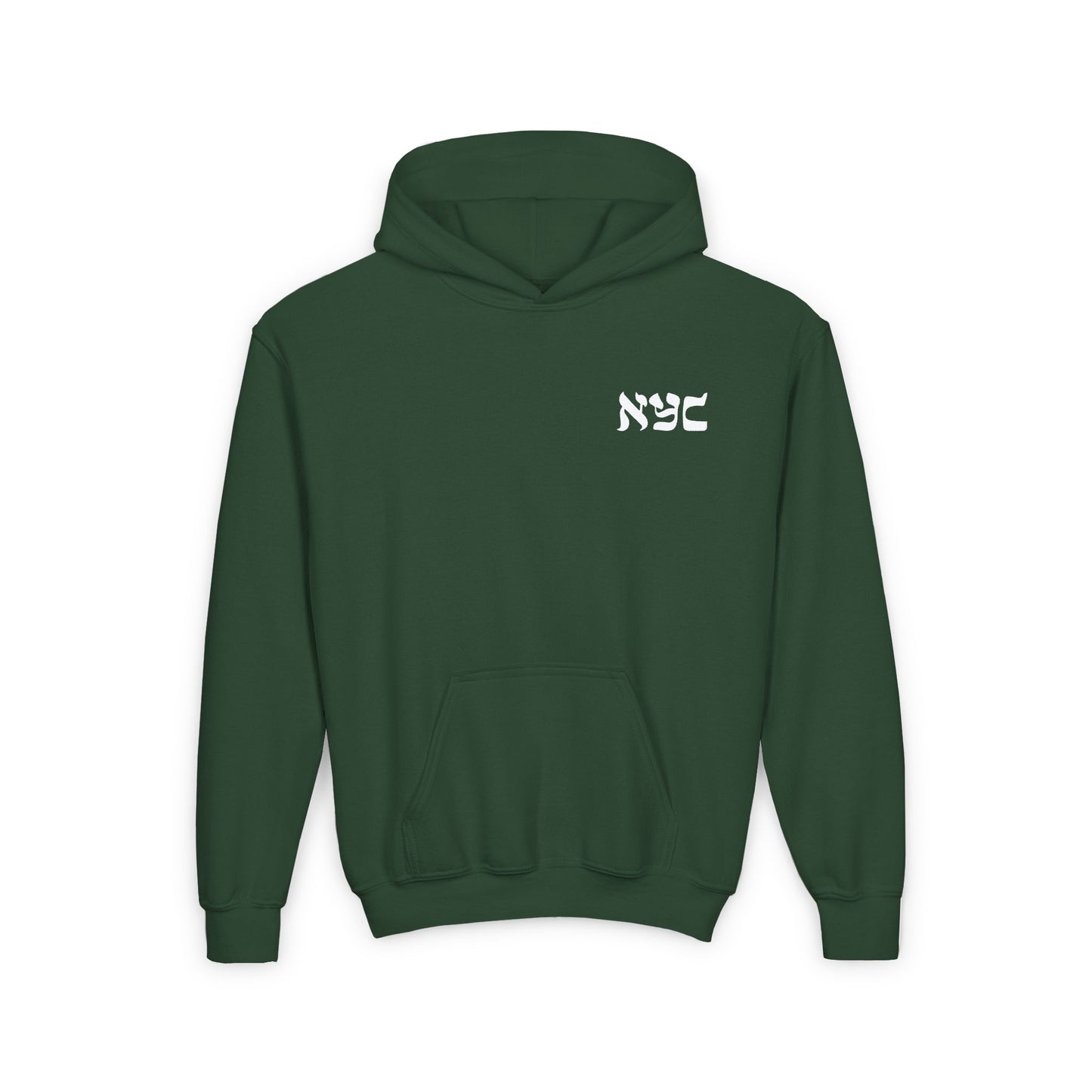 Youth Hoodie