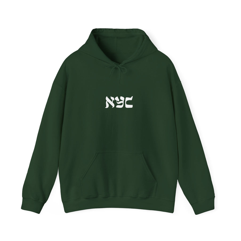 Center logo Hoodie