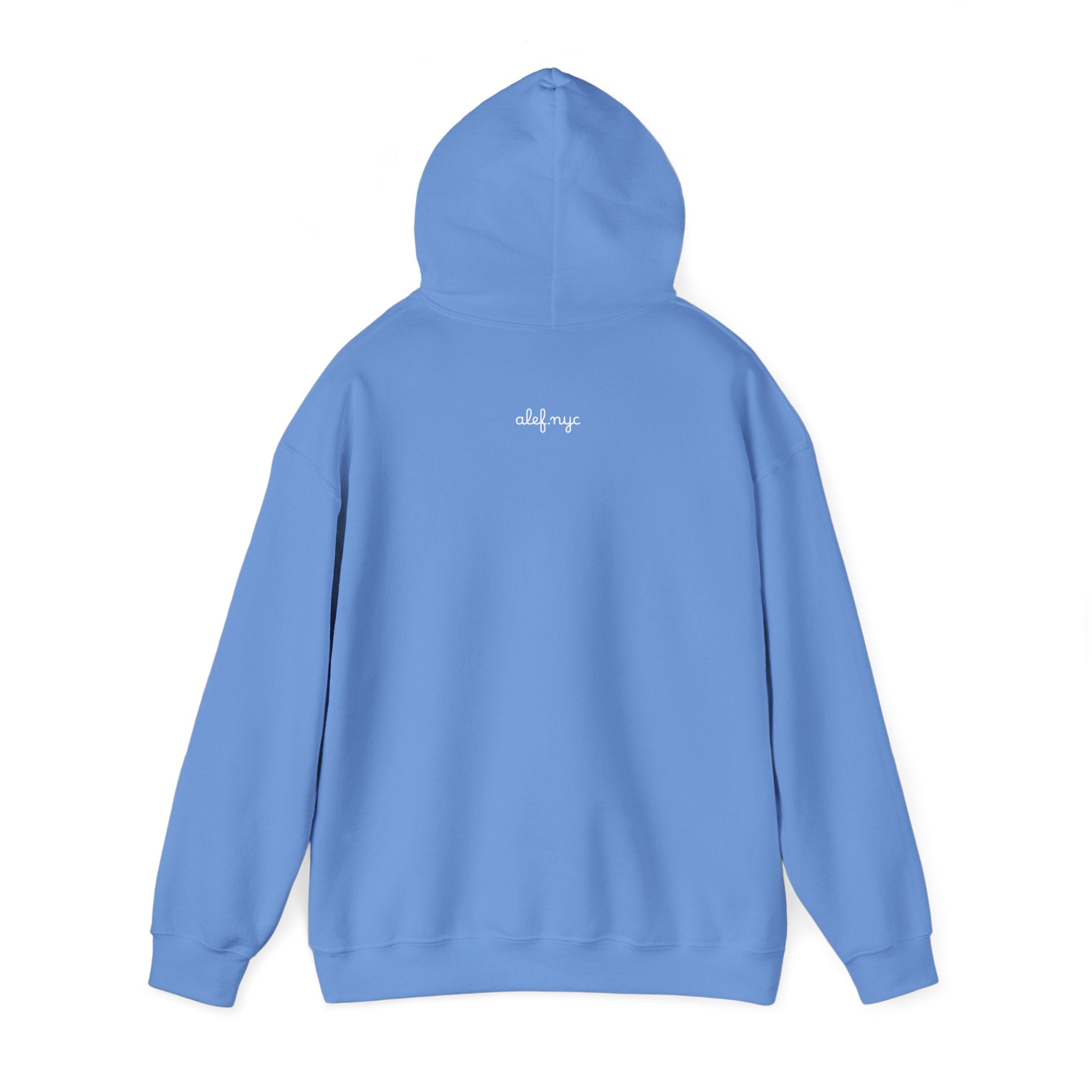 Center logo Hoodie