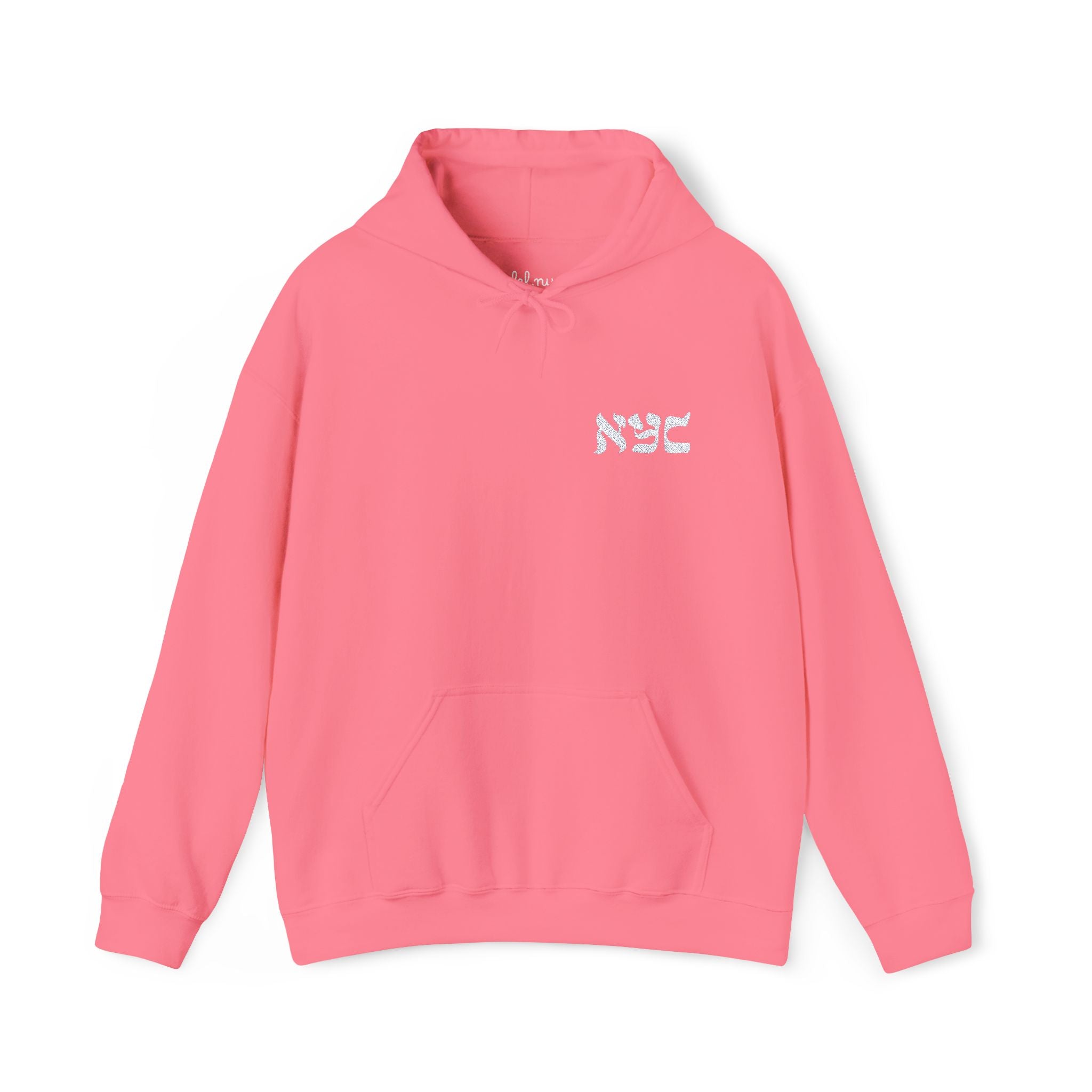 Embroided logo Hoodie