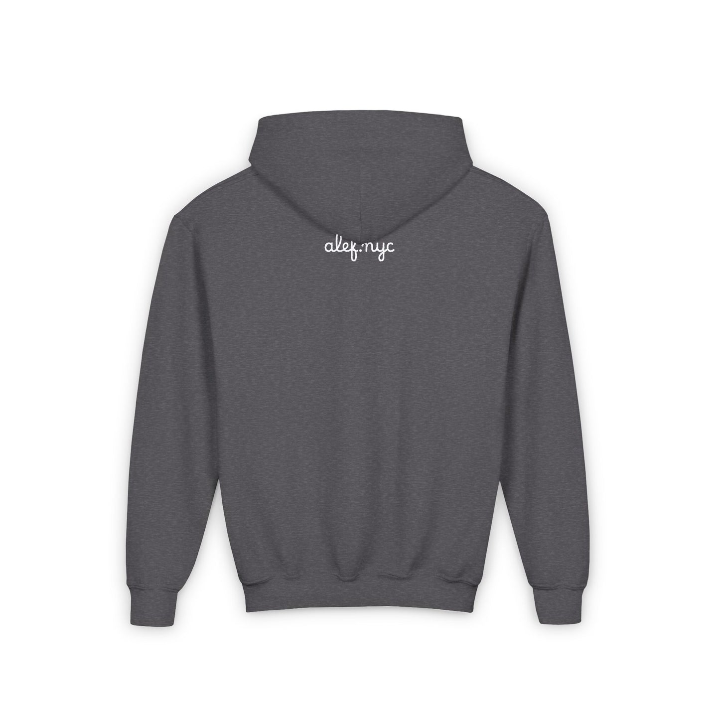 Youth Hoodie
