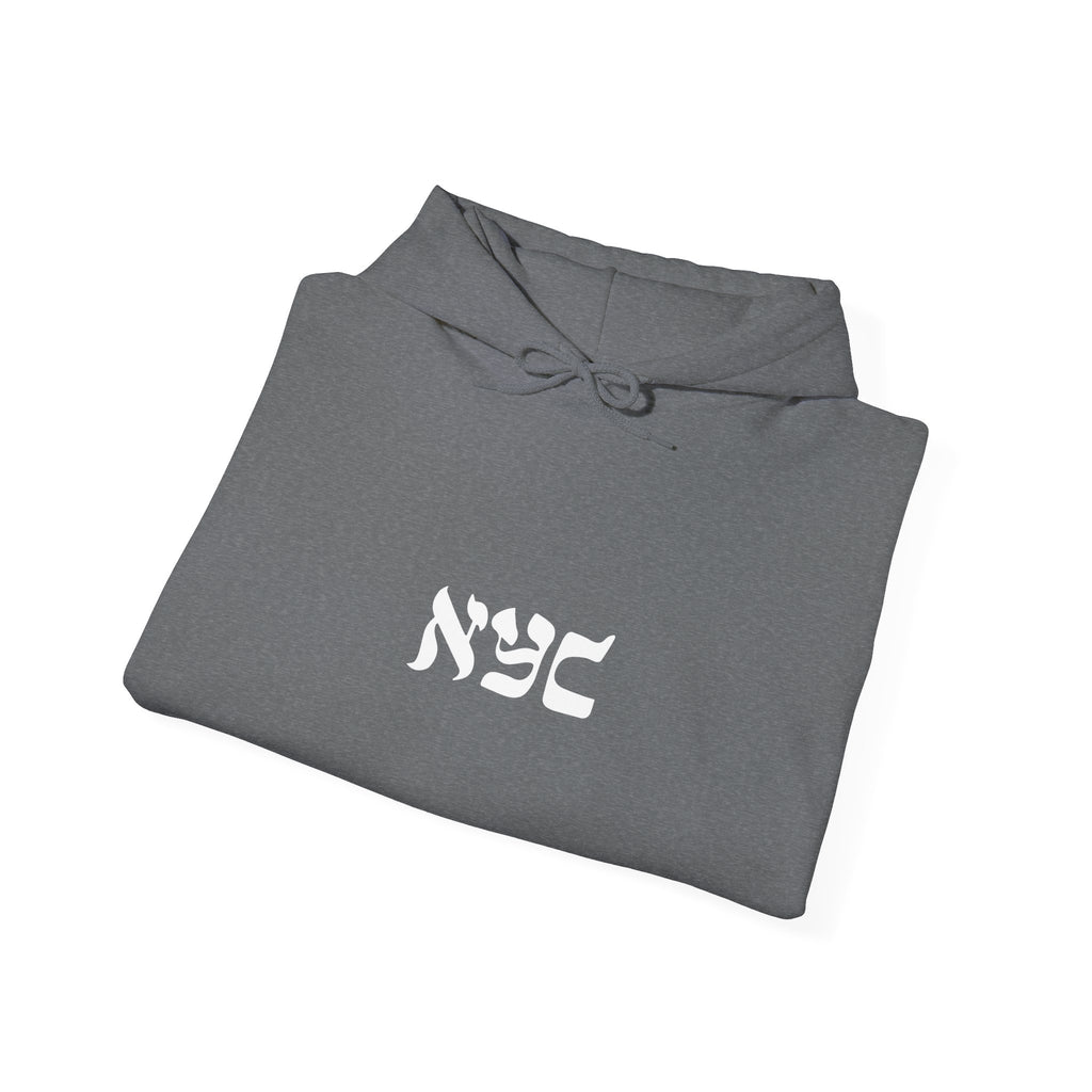 Center logo Hoodie