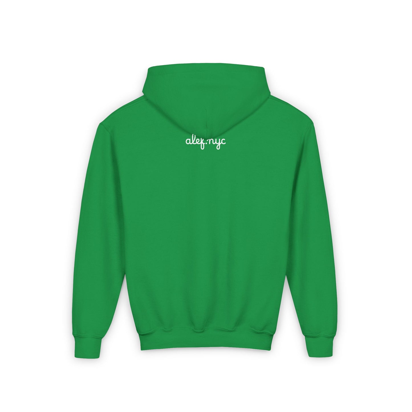 Youth Hoodie