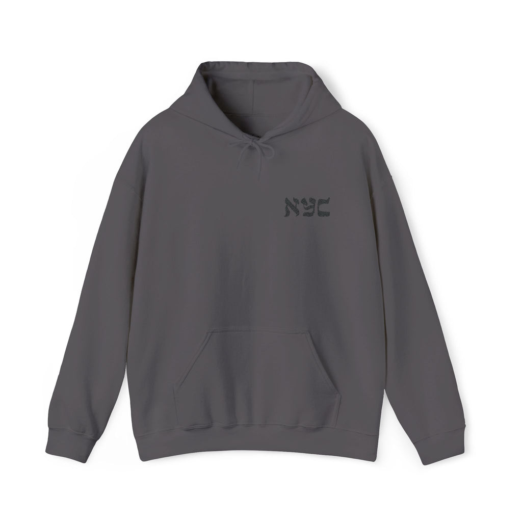Embroidered logo hoodie