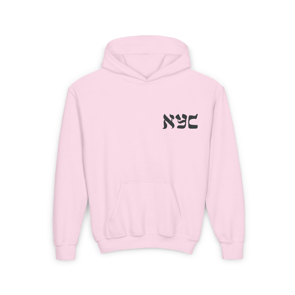 Embroidered logo hoodie - Youth