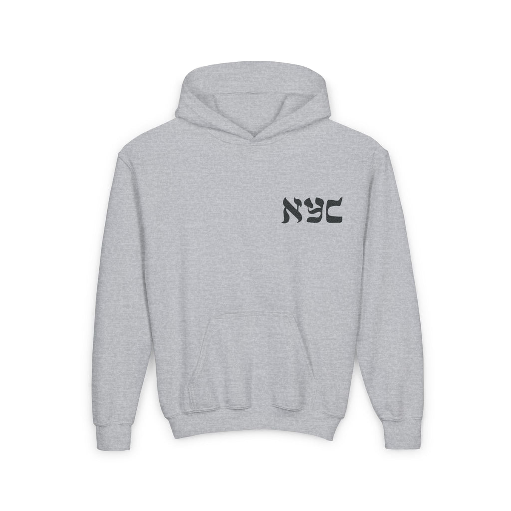 Embroidered logo hoodie - Youth