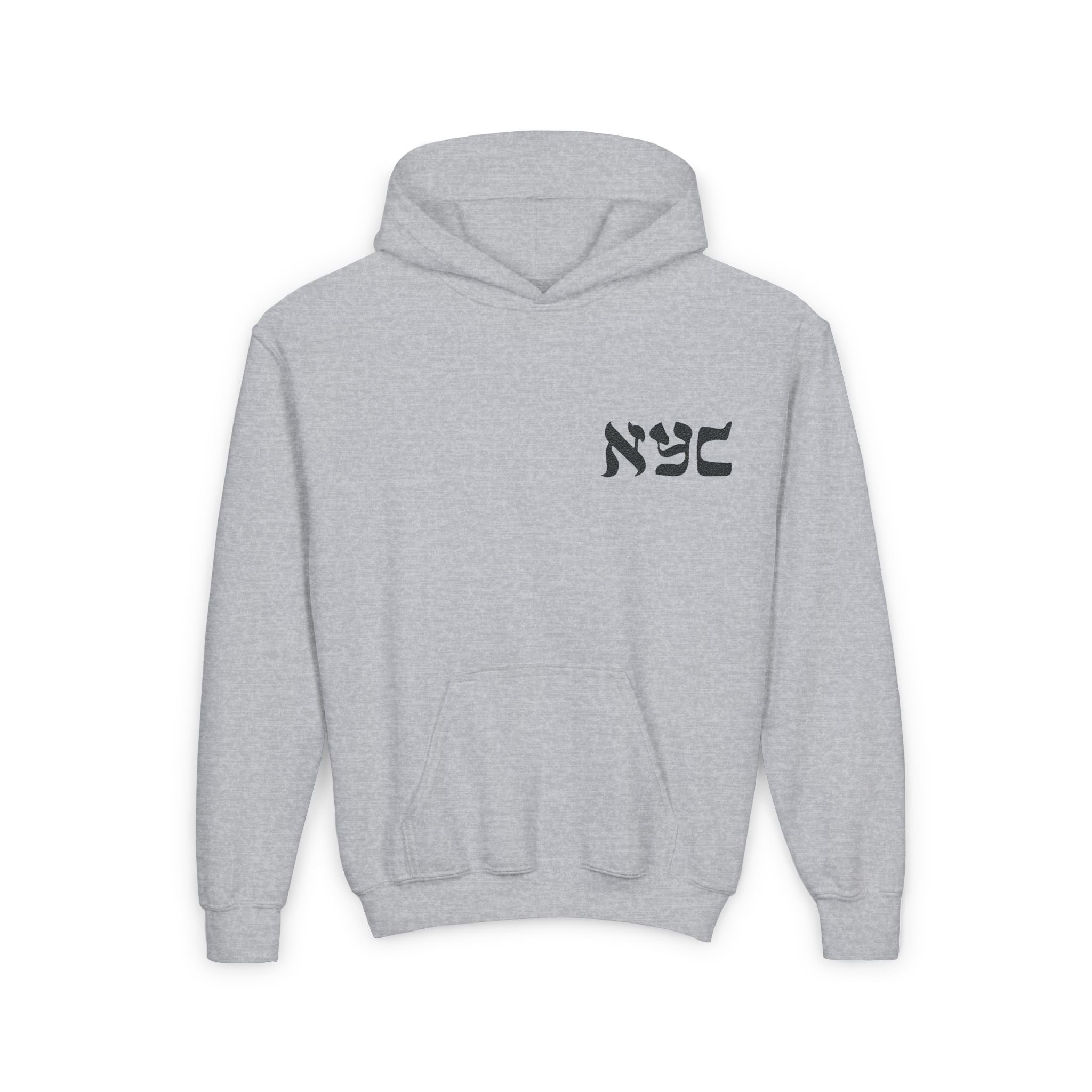 Embroidered logo hoodie - Youth