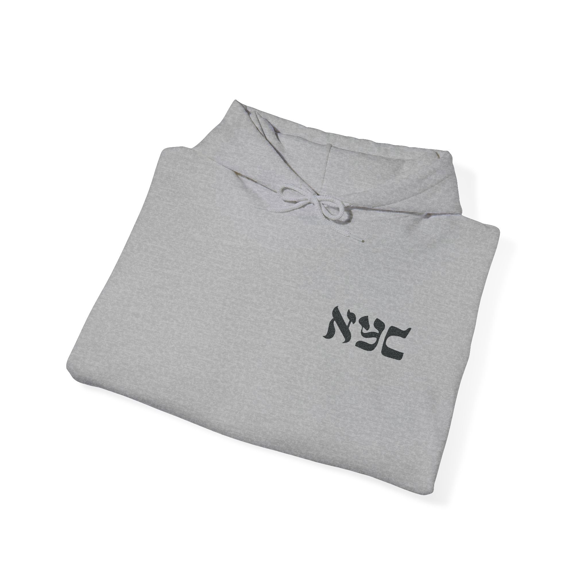 Embroidered logo hoodie