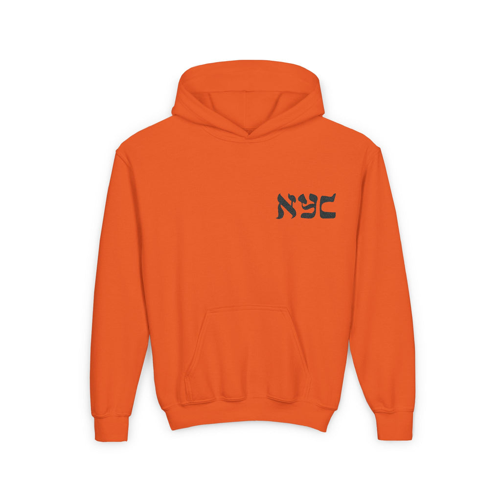 Embroidered logo hoodie - Youth