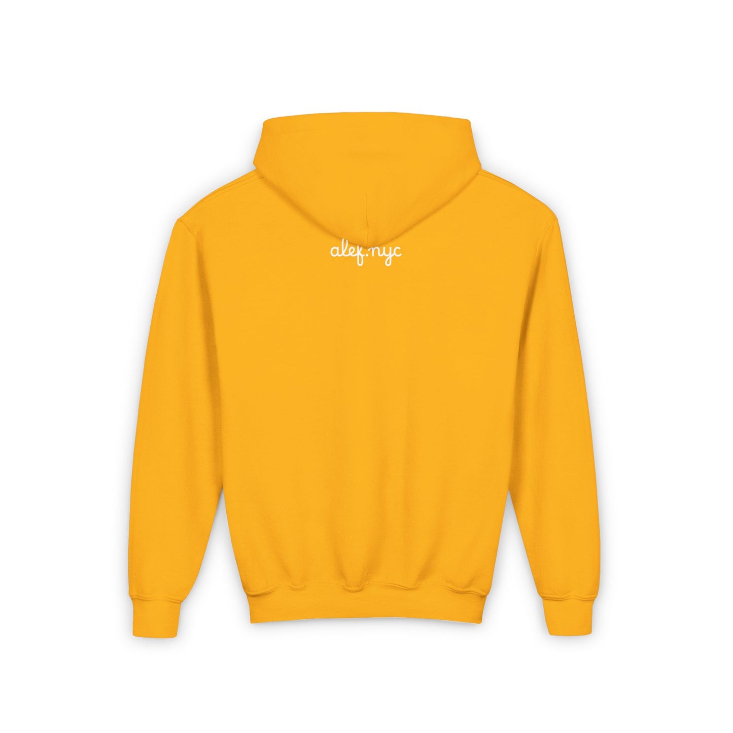 Youth Hoodie