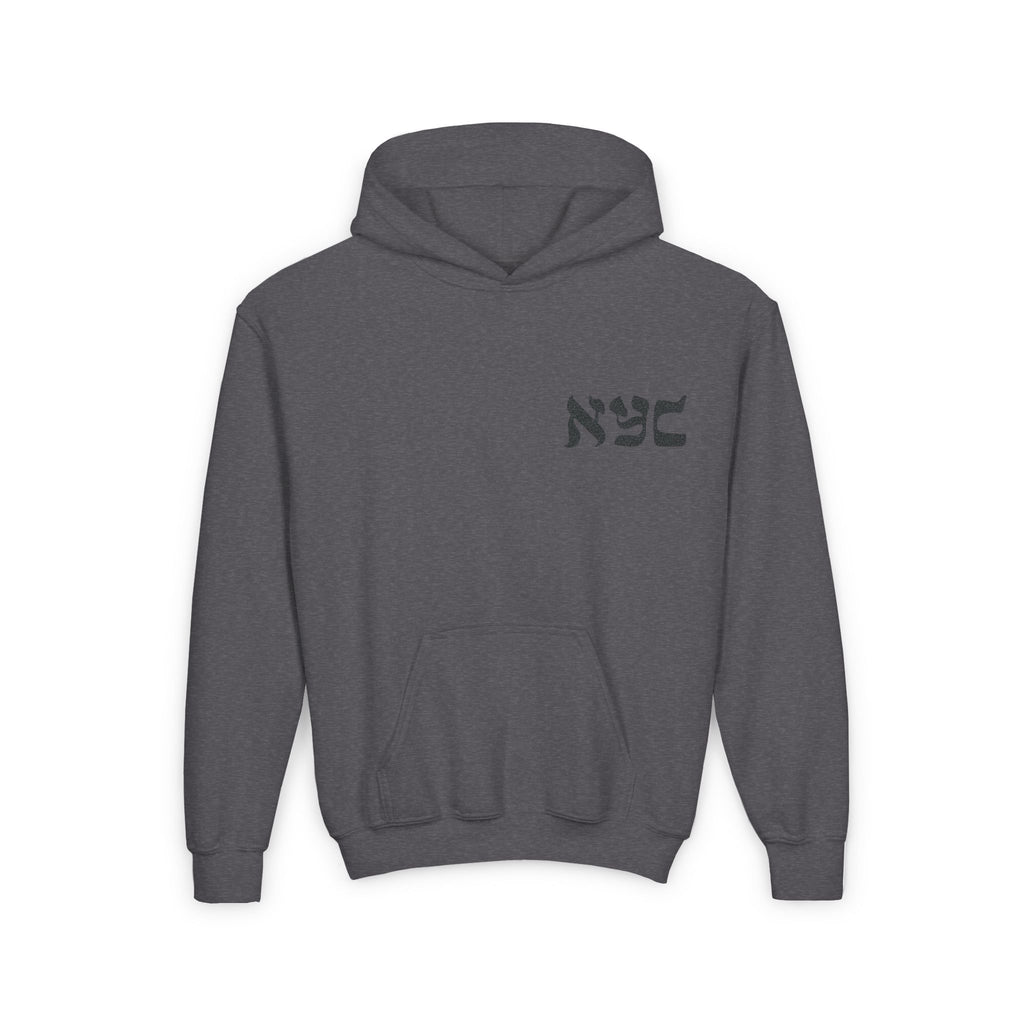 Embroidered logo hoodie - Youth