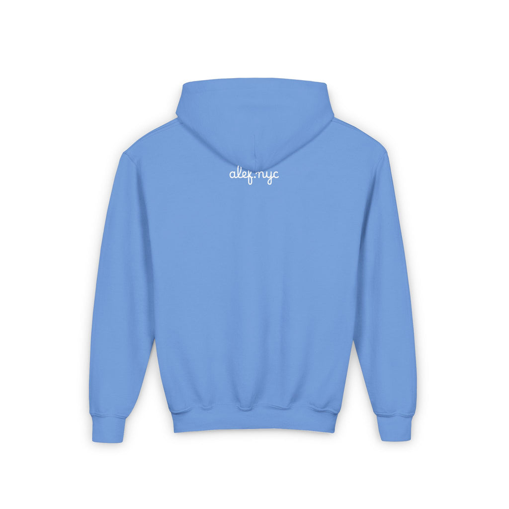 Youth Hoodie