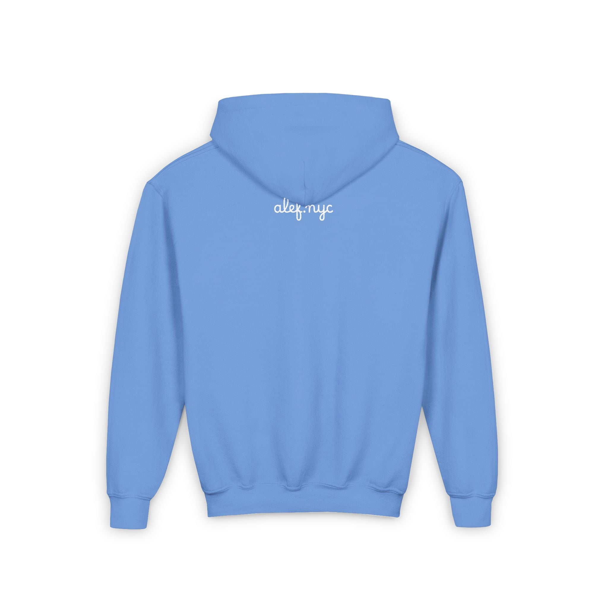 Youth Hoodie
