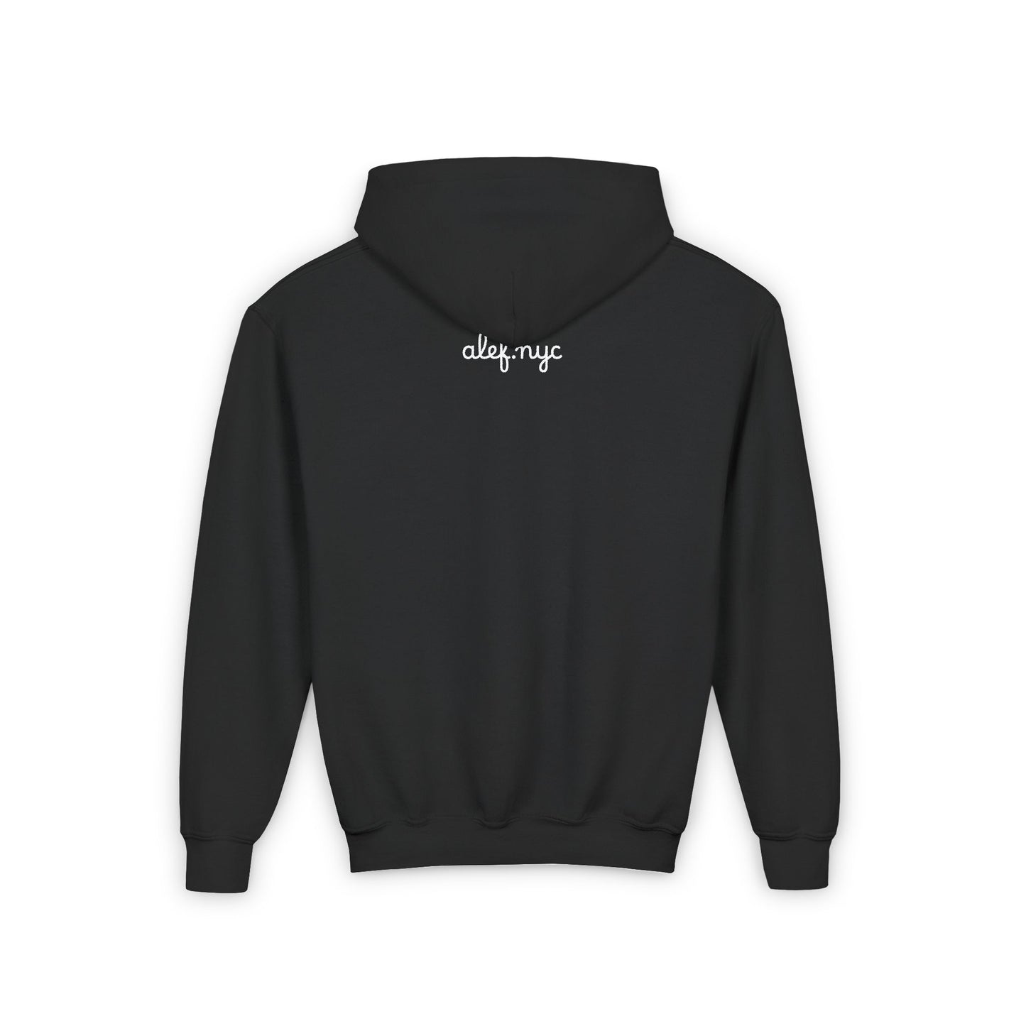 Youth Hoodie